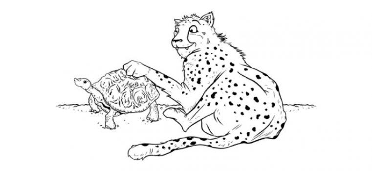 Aste the slowest Cheetah